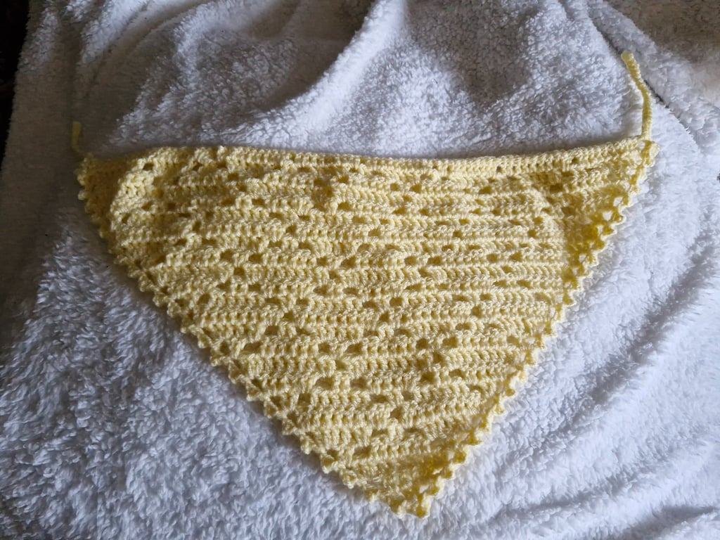 Crochet Bandana