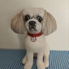 Shih Tzu Keepsake 