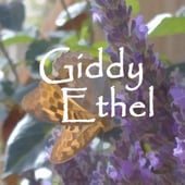 Giddy Ethel