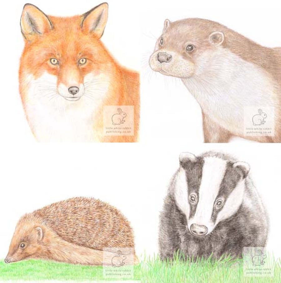 Wildlife Selection - Pack of 4 Small Greeting Cards