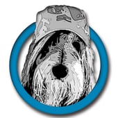 ScruffyDogSilver
