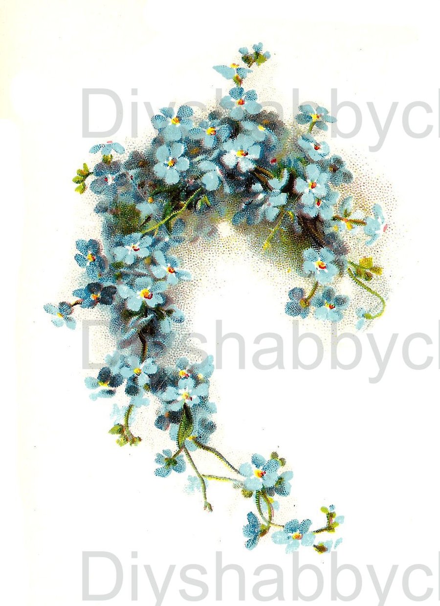 Waterslide Wood Furniture Vintage Image Transfer Shabby Chic Little Blue flowers