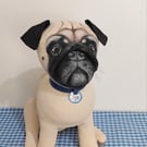 Personalised Pugs