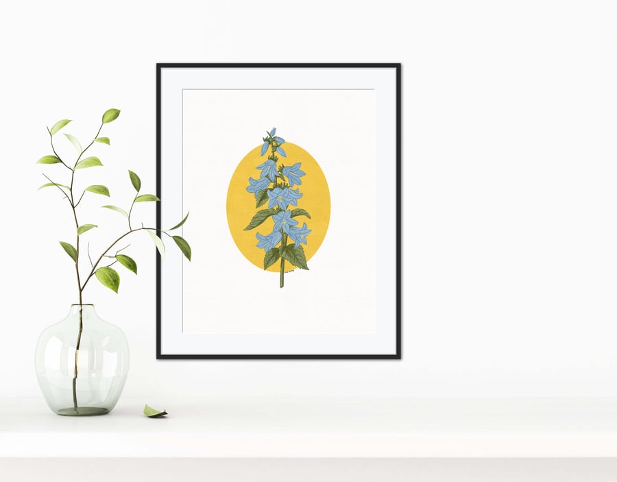 Bluebell Flower Botanical Illustration Art Print