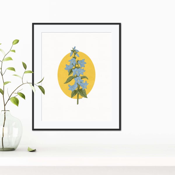 Bluebell Flower Botanical Illustration Art Print