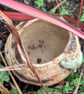 Stoneware planter with lizard - Image 5