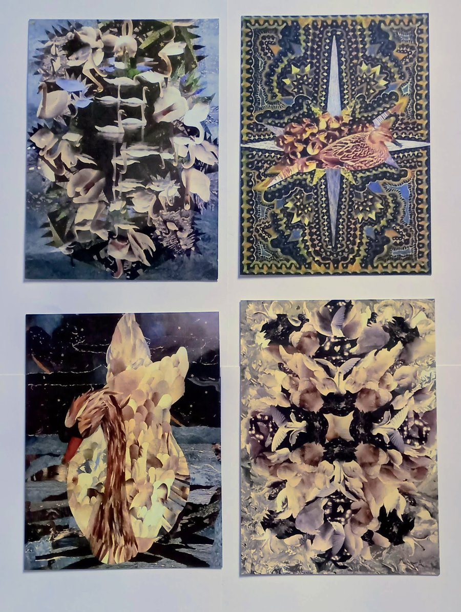 Swan & Duck Cards - Set of 4