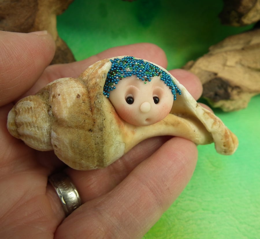 ShellDweller Gnome in 3" seashell OOAK Sculpt Ann Galvin Gnome Village