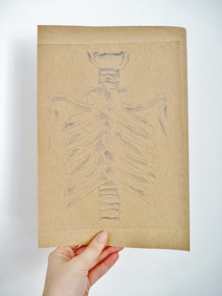 Free Postage - Cheap Seconds - Skeletons In Your Closet Etchings
