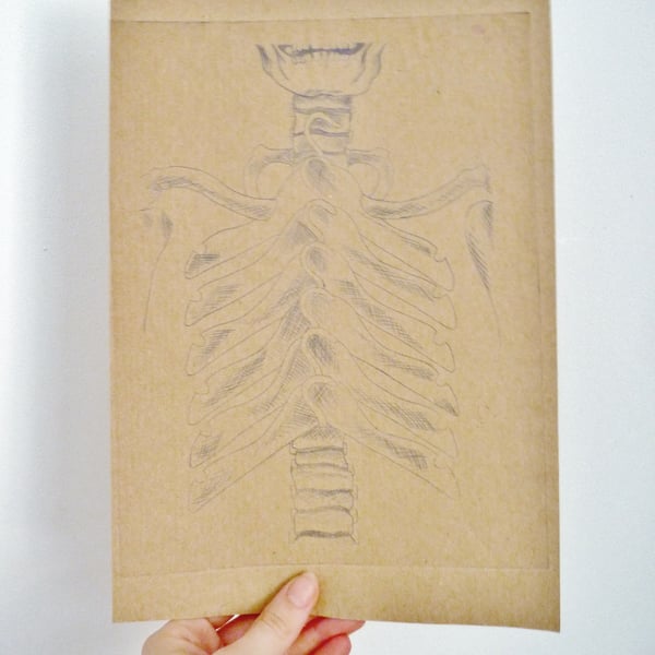 Free Postage - Cheap Seconds - Skeletons In Your Closet Etchings