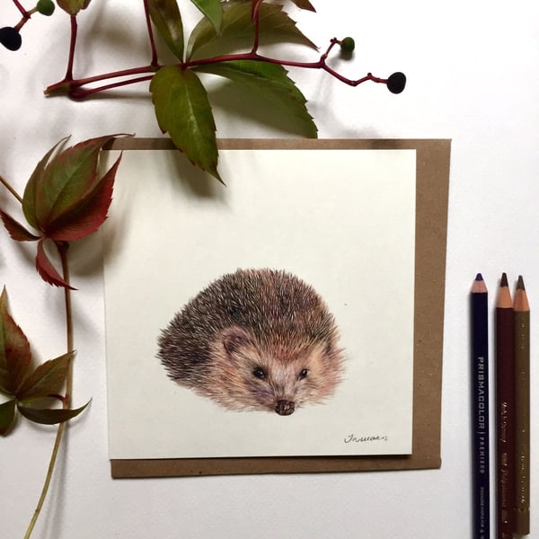 "Hedgehog" Blank Greeting Card