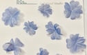 Silk Flowers