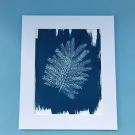 Mimosa meets Cyanotype Art and falls in love x