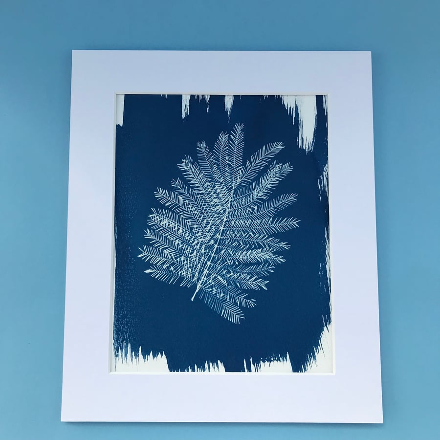 Botanical Art, Mimosa print Cyanotype, art for home, art as a gift.