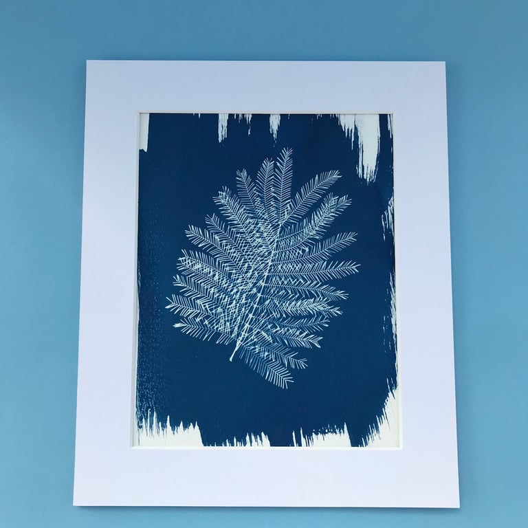 Botanical Art, Mimosa print Cyanotype, art for home, art as a gift.