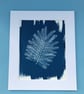 Botanical Art, Mimosa print Cyanotype, art for home, art as a gift. - Image 1