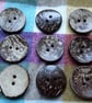 40mm (1 & 6 10") REAL COCONUT Organic Item  - Image 1