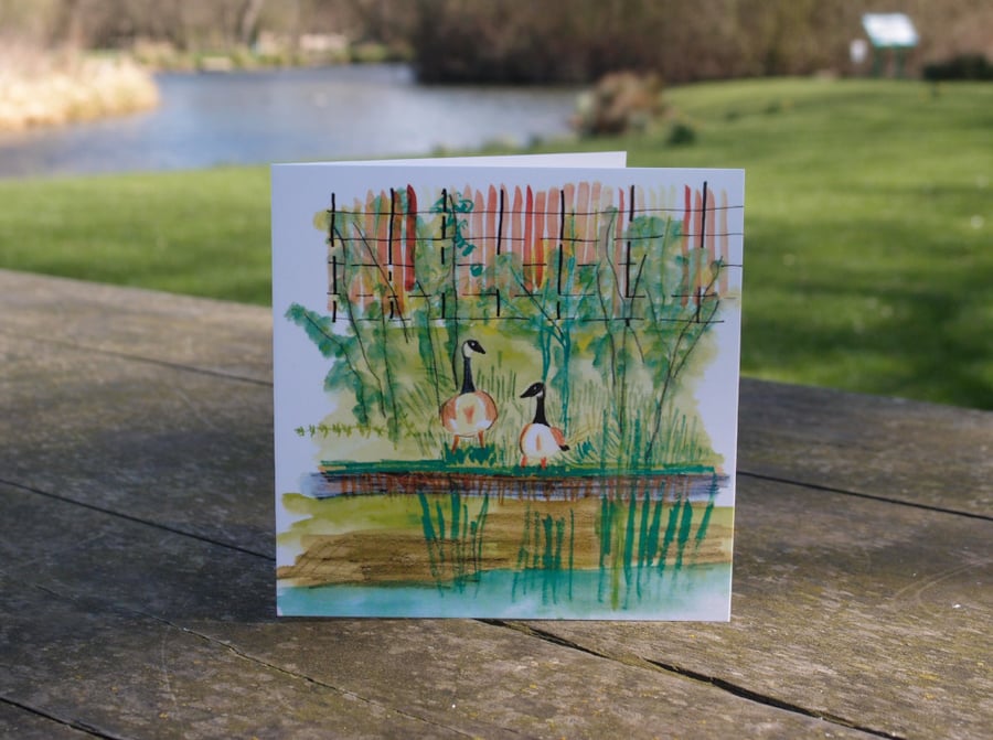 Canada Geese in Clissold Park greetings card