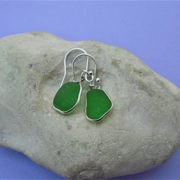 Green sea glass earrings