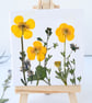 Real Pressed Buttercups Miniature Botanical Canvas on Wooden Easel - Image 6