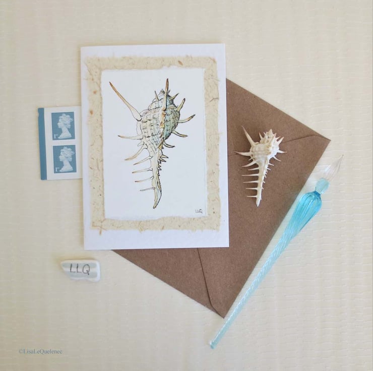 Hand drawn and painted sea shell greeting card ... - Folksy