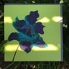 3 Endangered Species Art cards 
