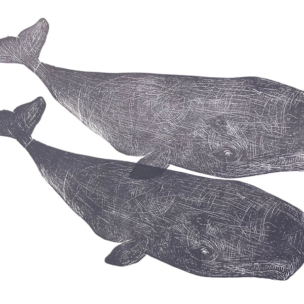 Two Sperm Whales