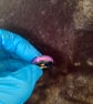 Resin ring, men's, lady's, handmade - Image 1