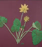 Lesser Celandine floral embroidery art - Image 1
