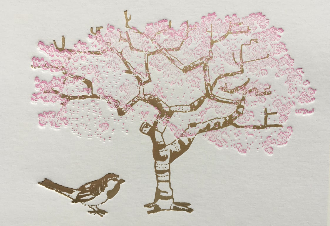 Cherry Blossom Greetings  Card