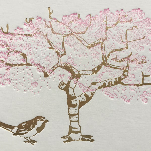 Cherry Blossom Greetings  Card