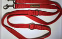 Dog Walking Gear