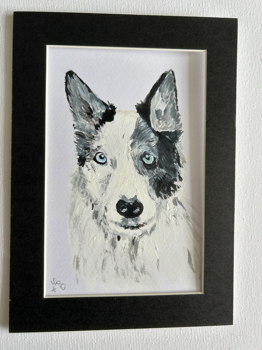 Husky type dog portrait. 5x7" original 
