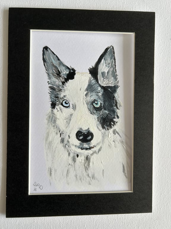 Husky type dog portrait. 5x7" original 