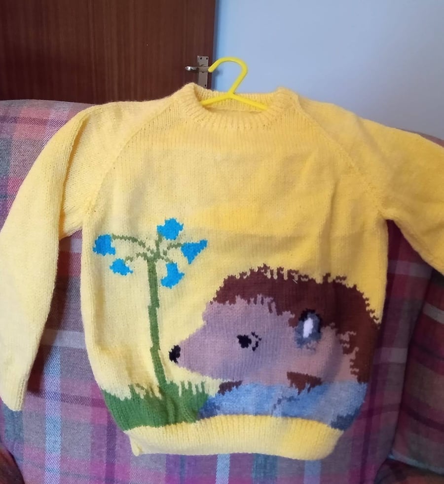 Hedgehog Jumper