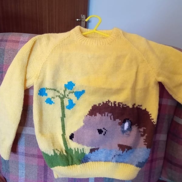 Hedgehog Jumper