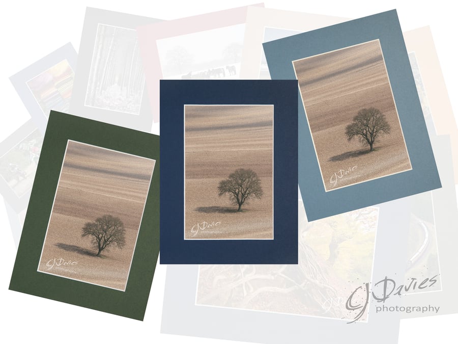 CJ007 - South Downs field