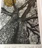 'Yeld Oak 1' Varied Edition with Golden Sun, original Hand Pulled Print - Image 2
