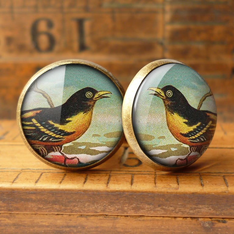 Affable Bird Cufflinks (TB03)