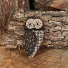 Tawny Owl - embroidered wool brooch
