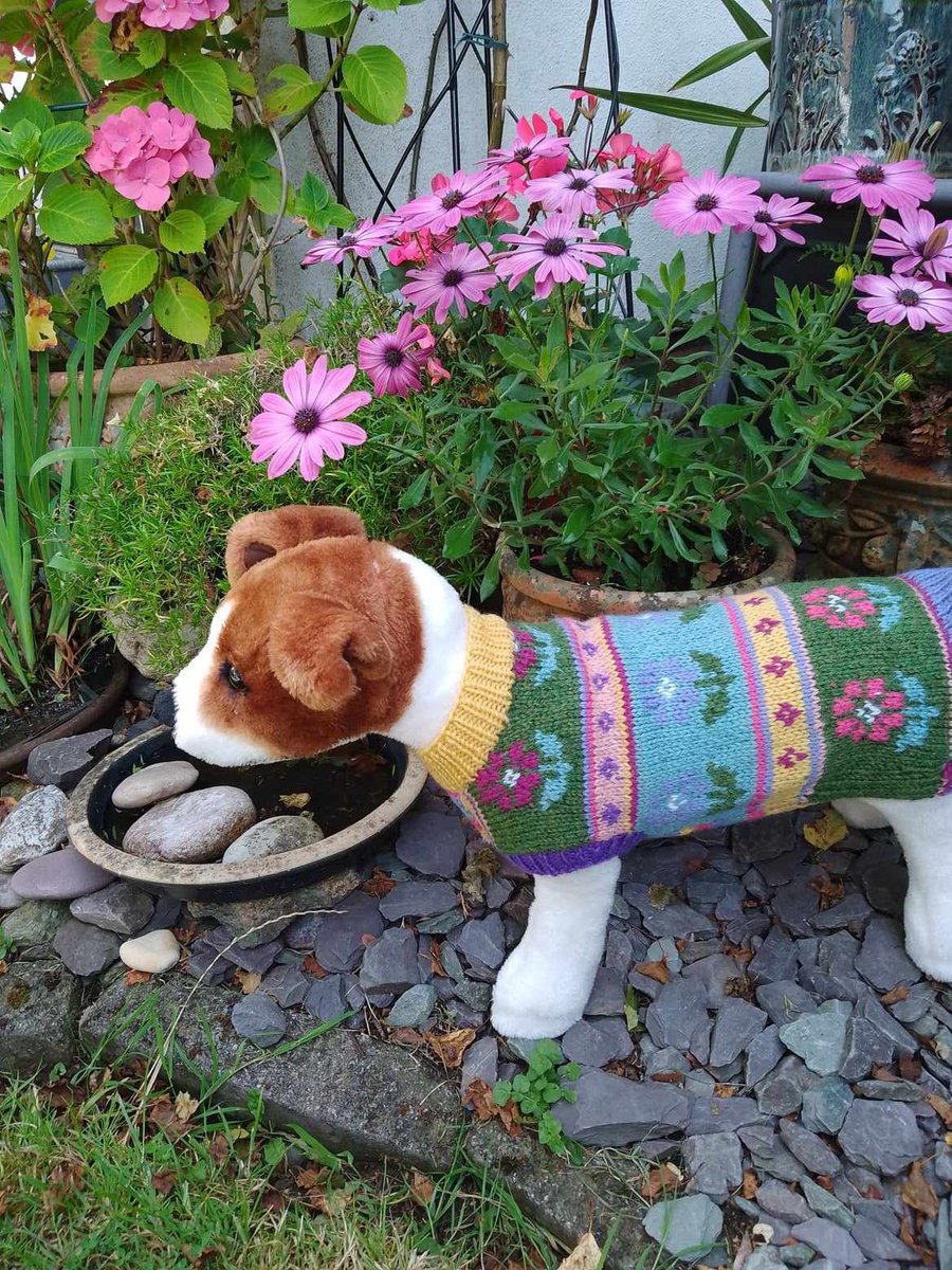 Fair isle dog jumper Flowers Folksy