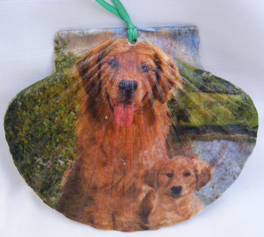 Golden Retriever decoupaged flat scallop shell wall decoration.