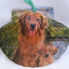 Golden Retriever decoupaged flat scallop shell wall decoration.