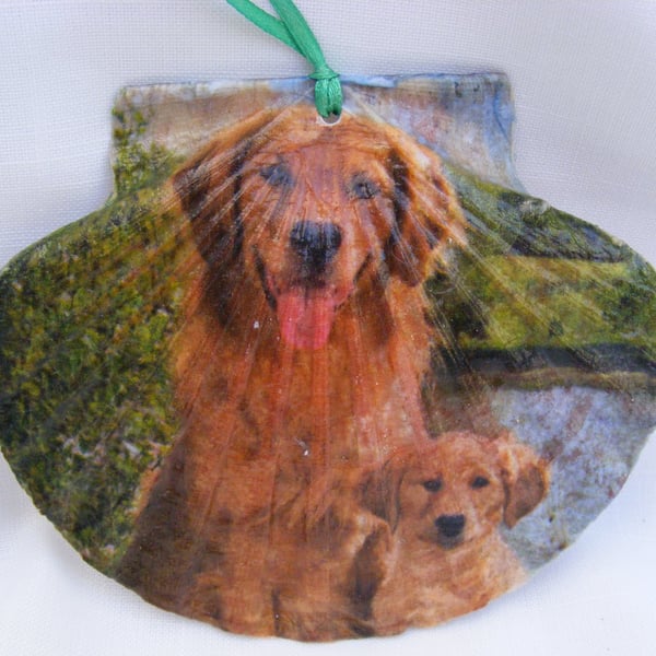 Golden Retriever decoupaged flat scallop shell wall decoration.