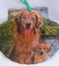 Golden Retriever decoupaged flat scallop shell wall decoration.