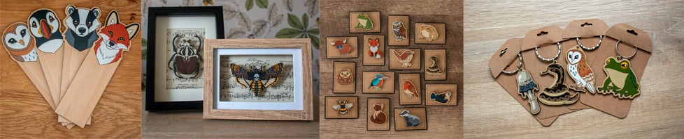 Rachel's Wildlife