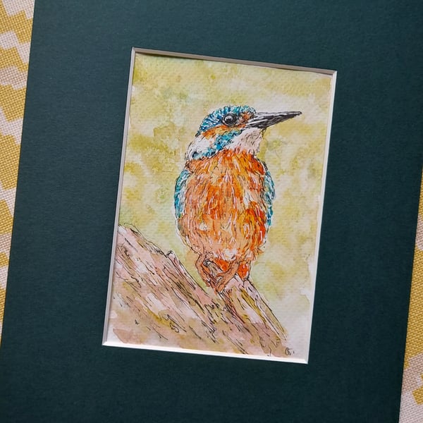 Kingfisher  - original illustration 