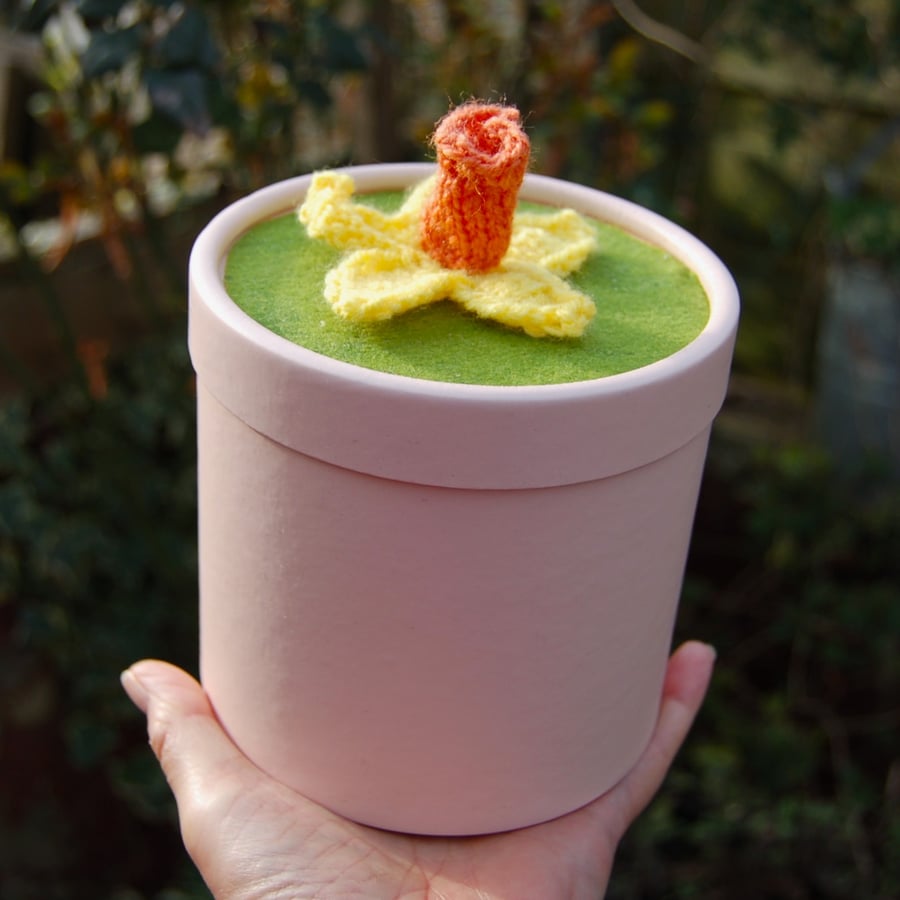 Pink cardboard cylindrical container topped with hand knitted daffodil