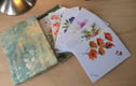 Boxed Card Sets