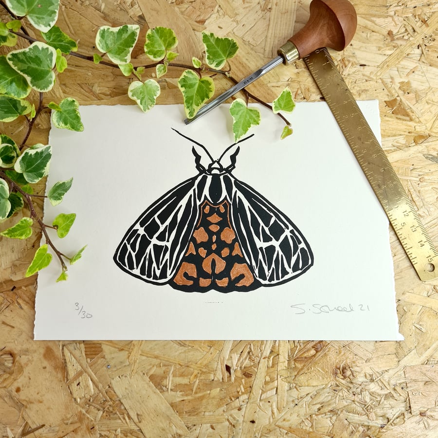 Moth,Insect, Lino print a5, copper and Black on handmade paper